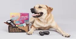 BarkBox