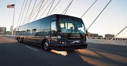 Greyhound